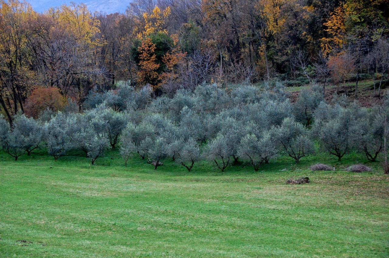 Albergo Rurale Parco Di San Floriano Polcenigo ภายนอก รูปภาพ